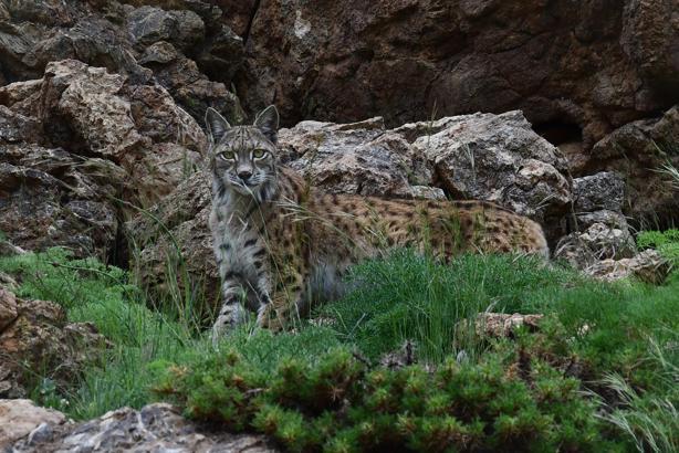 21'inci Devlet Fotoğraf Yarışması sonuçlandı