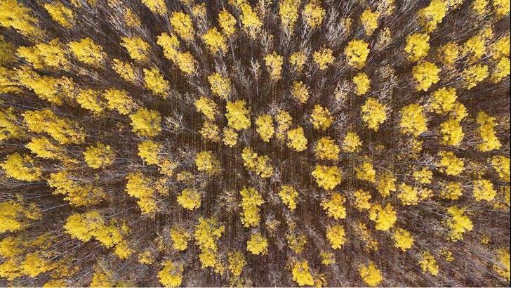 Mardin’de kartpostallık görüntüler dron kamerasında