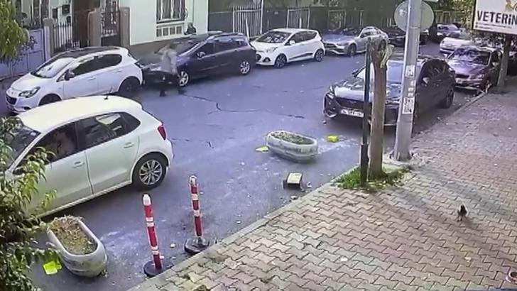 İstanbul- Bakırköy'de kedisinin tıraşını beğenmeyen kadın, veteriner teknikerini darbetti