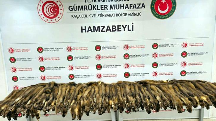 Hamzabeyli Sınır Kapısı'nda 155 samur postu ile 239 cep telefonu ele geçirildi