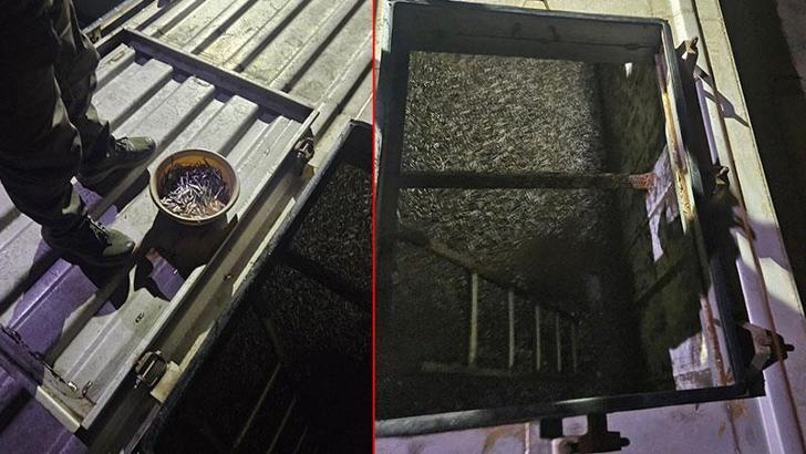 Trabzon’da yasal boy sınırı altında avlanan 11 ton hamsiye el konuldu