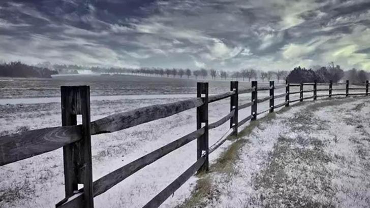 ABD'de 5 eyalette olağanüstü hal ilan edildi