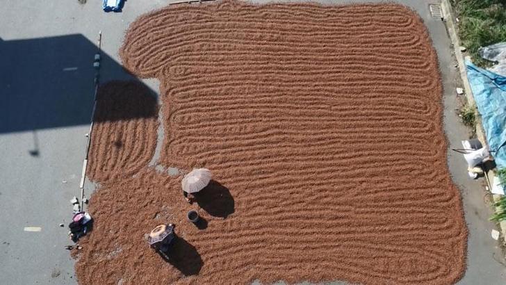 Karadeniz'de fındık ihracatında artış