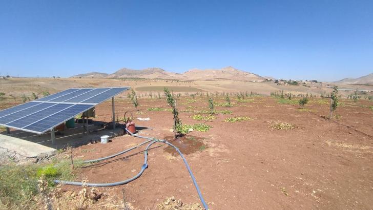 Batman'da 'Özel Ağaçlandırma Projesi' kapsamında çiftçilere, 2 yılda 80 milyon hibe desteği verildi