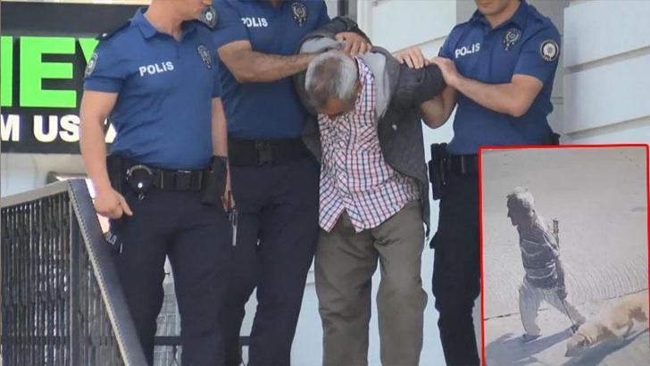 Bakırköy'de köpeğe istismar davasında karar: 1 yıl 6 ay hapis cezası