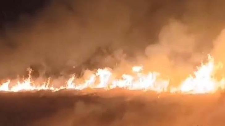 Sultan Sazlığı Milli Parkı'nda yangın