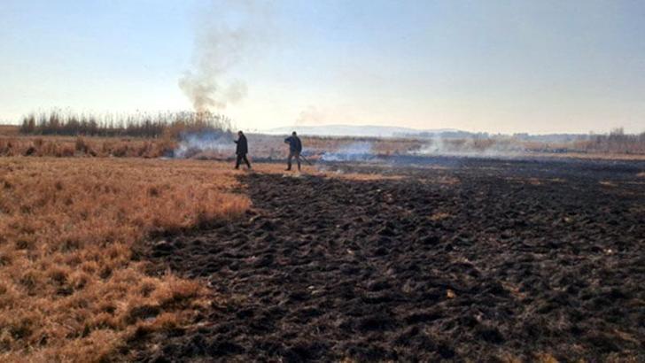 Van'da sazlıktaki yangın, 2 saatte söndürüldü