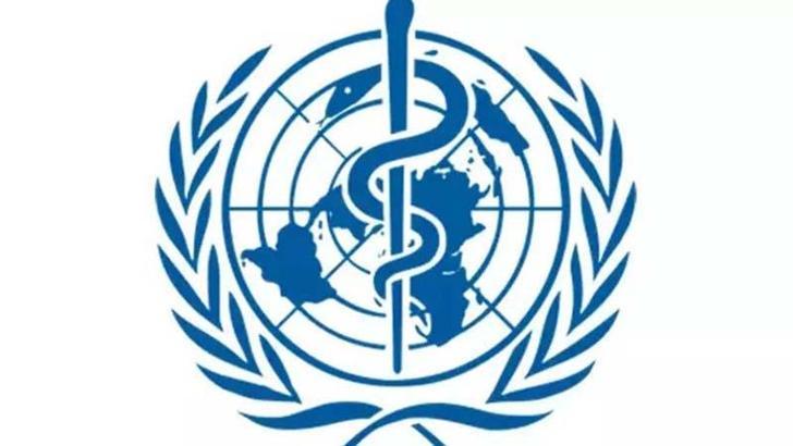 DSÖ: Tanzanya'da Marburg virüsü nedeniyle 8 kişi hayatını kaybetti