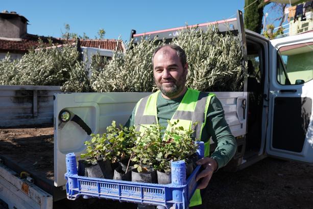 Büyükşehir’den yangında zarar gören üreticilere fidan desteği