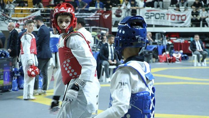 TTF Başkanı Tanrıkulu: Takım halinde Avrupa şampiyonu olduk