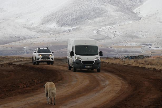 16 yıldır sokak hayvanlarını balıkla besliyor / Ek fotoğraflar