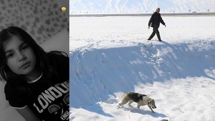 Eslem'in ölümü sonrası bölgedeki sokak köpekleri toplanıyor