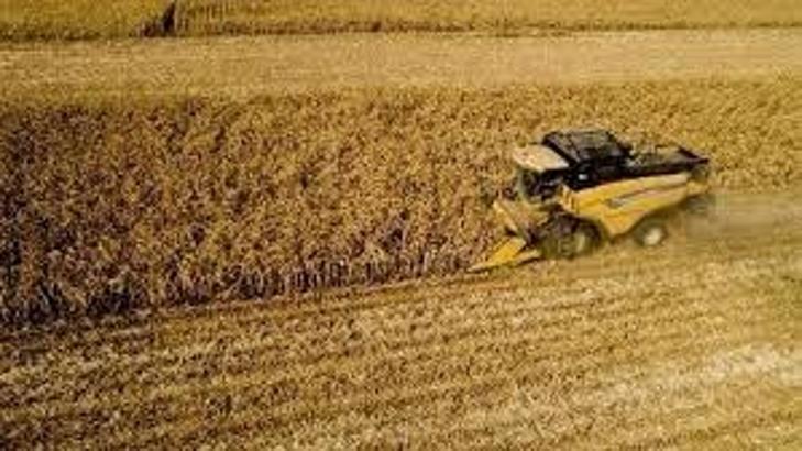 TÜİK: Tarımsal girdi fiyatları kasımda arttı