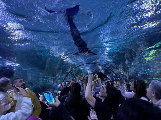 Akvaryumda 'deniz kızı' gösterisi