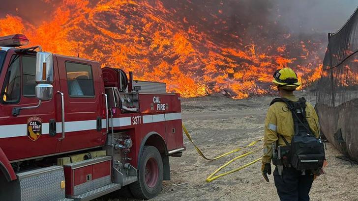 Los Angeles'taki yangınlarda ölü sayısı 29'a yükseldi
