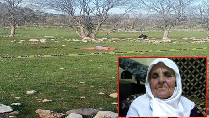 Saldırdıkları kadını öldüren köpeklerin sahibine 4 yıl 5 ay hapis