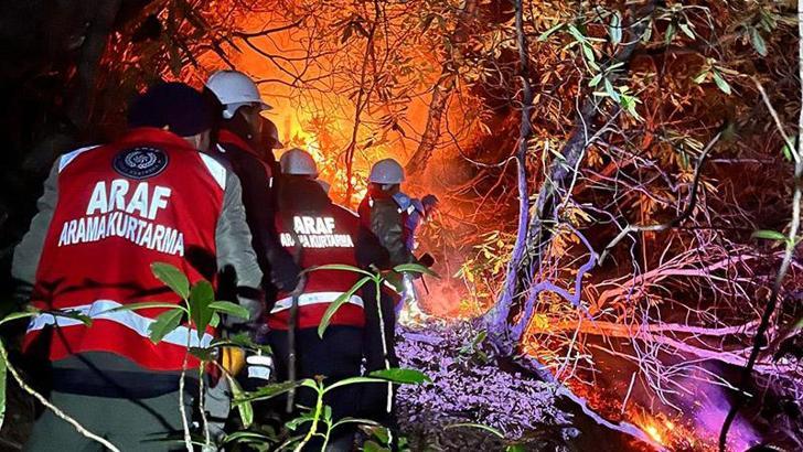 Rize'de anız yangını ormana sıçradı; 15 dönüm alan zarar gördü