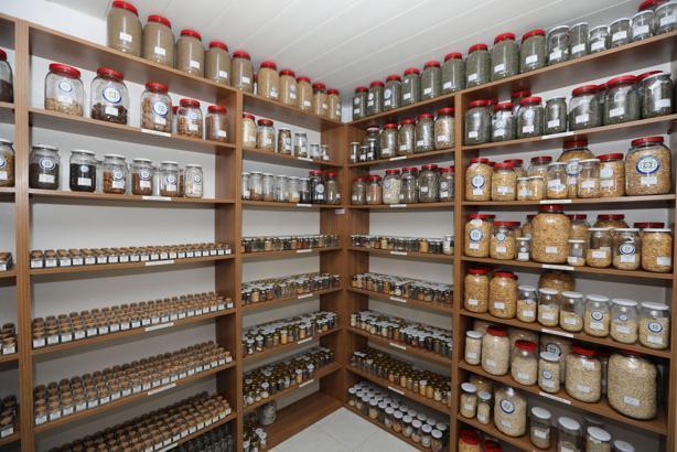 Muğla'da yerel tohum dağıtımı 3 şubat'ta başlayacak