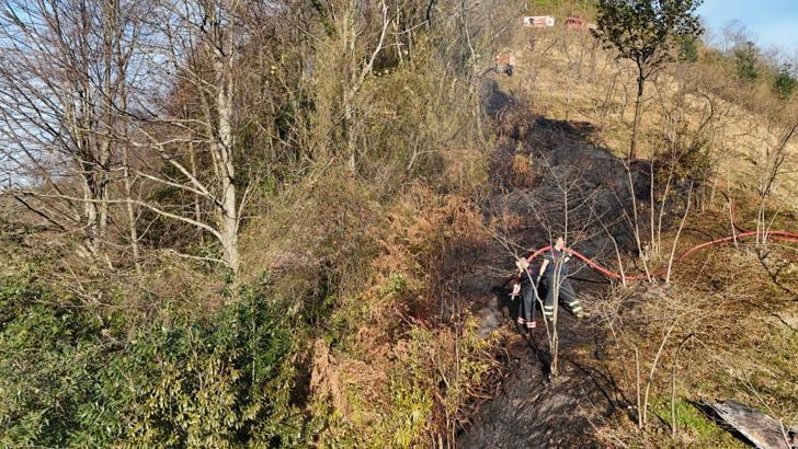 Trabzon'da örtü yangını; 2 dönüm alan zarar gördü