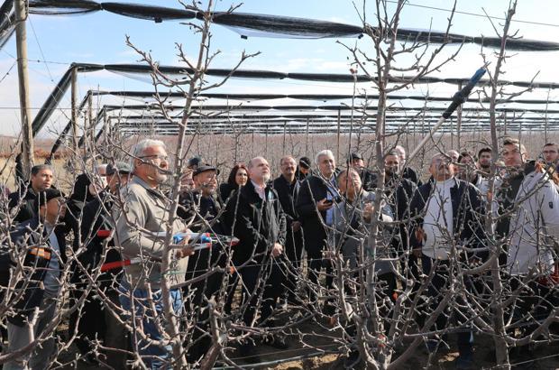 NÖHÜ'de meyve ağacı budama eğitimi verildi