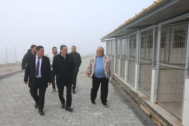 Manisa'da Hayvan Yaşam Merkezi'nin yüzde 50'sinin martın son haftasında açılacak