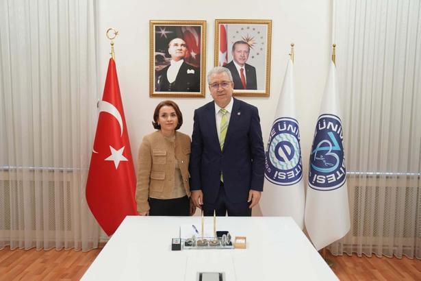 EÜ'lü bilim insanlarının 'sakinleştirici bebek battaniyesi' buluşu 'faydalı model' olarak tescillendi