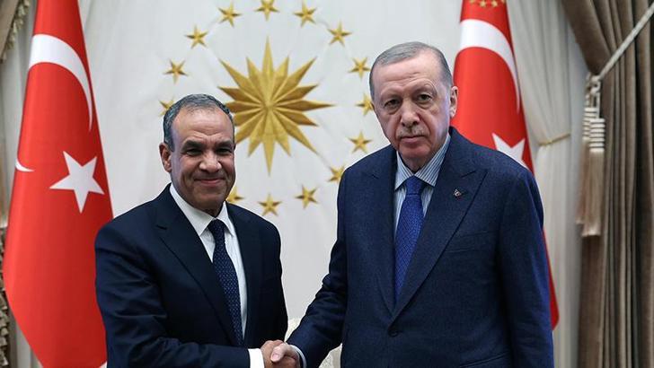 Cumhurbaşkanı Erdoğan, Mısır Dışişleri Bakanı Abdulati'yi kabul etti