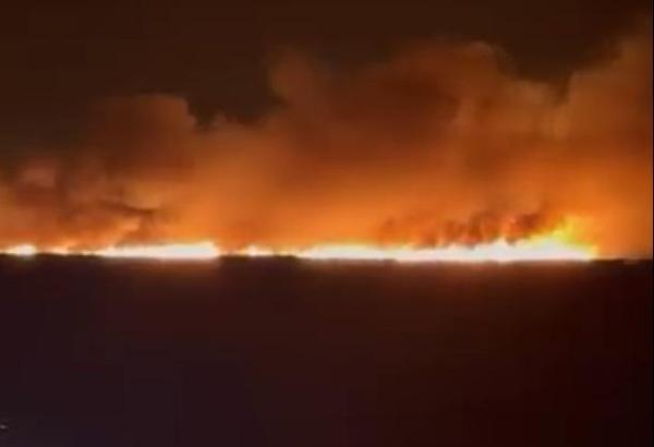 Göksu Deltası'nda sazlık alandaki yangın söndü