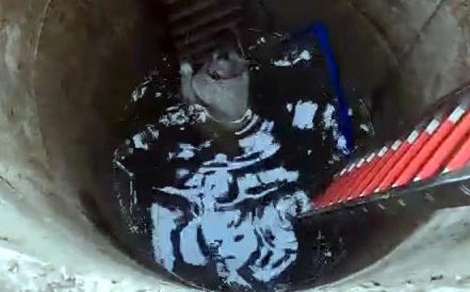 İstanbul - Çatalca'da su kuyusuna düşen 'Garip' böyle kurtarıldı