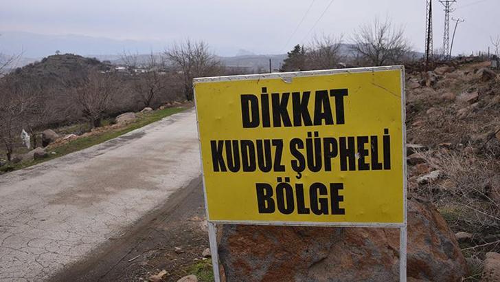 Daha önce 3 kişiyi ısırmış... Şanlıurfa Siverek'te 'kuduz' karantinası! - Resim : 2