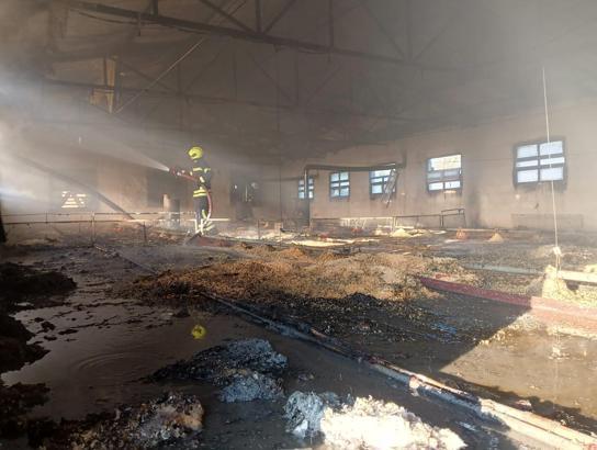 Tavuk üretim tesisinde yangın çıktı;civcivler telef oldu