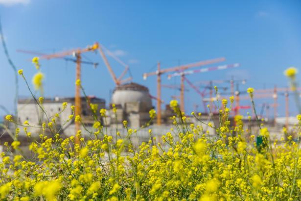 ‘Nükleer teknolojiler, biyolojik çeşitlilik ve tarımsal ekolojinin teminatı haline gelebilir’