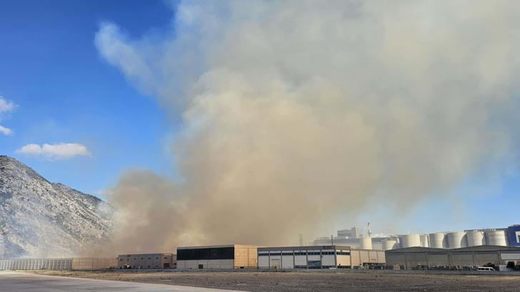 Aydın'da kağıt fabrikasında yangın (2)
