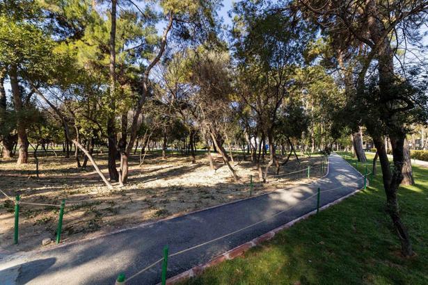 Hasanağa Bahçesi artık daha yeşil daha güvenli