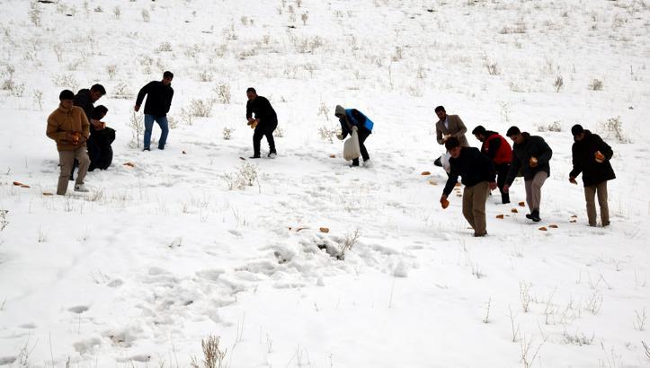 Muradiye'de gönüllüler sokak hayvanlarını unutmadı