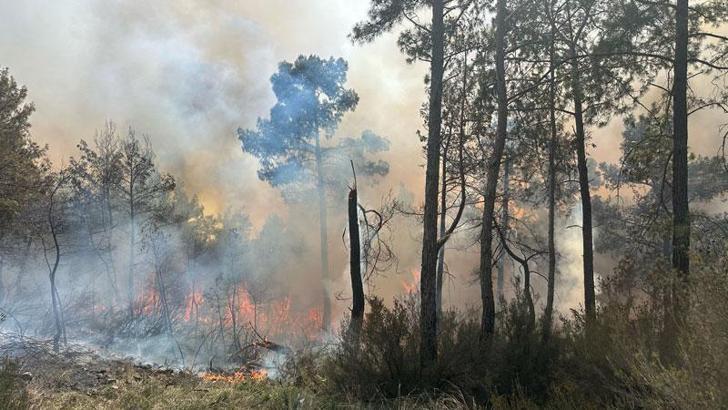Antalya'da orman yangını kontrol altında