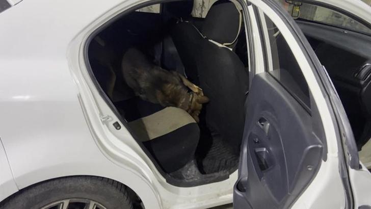 Otomobilin konsolu altındaki uyuşturucuyu 'Mailo' buldu