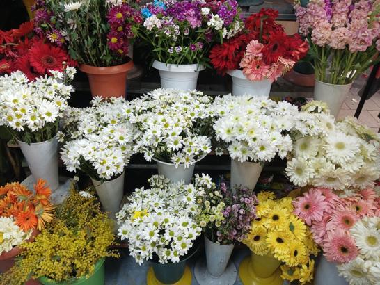 Kayseri'de çiçekçilerde '8 Mart' mesaisi