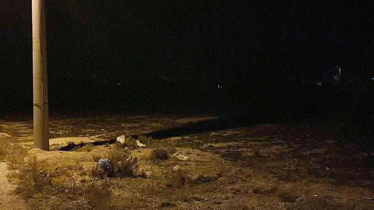 2 yaşındaki Rana, sokak köpeklerinin saldırısında öldü