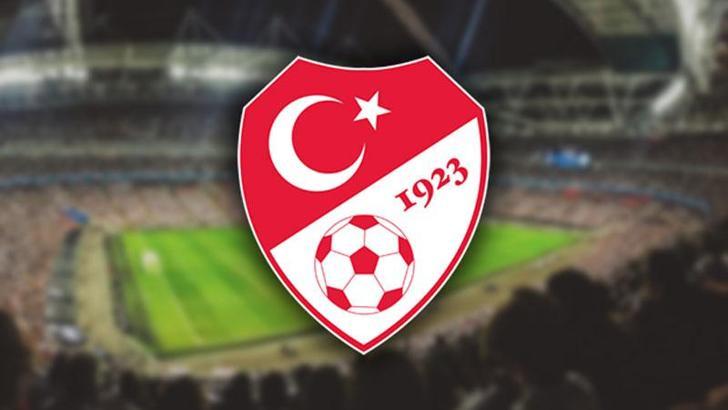 A Milli Futbol Takımı, hazırlık maçında ABD ile karşılaşacak