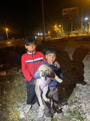 Oyun oynarken kuyuya düşen yavru köpeği itfaiye ekipleri kurtardı