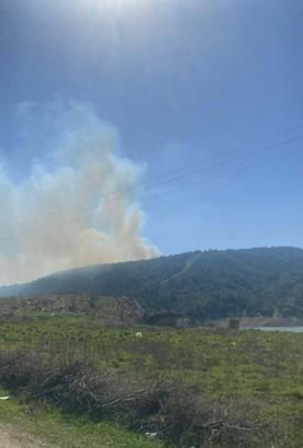 Çanakkale'de orman yangını
