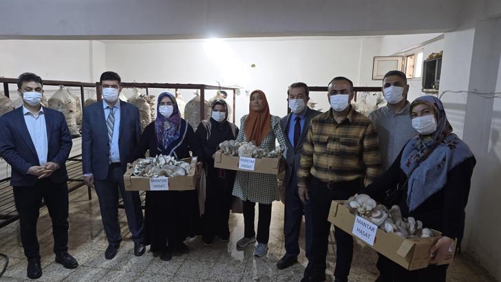 Kozan'da kursiyerler mantar hasat etti