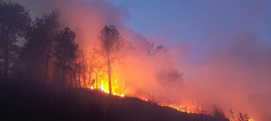 Hatay Orman Bölge Müdürlüğü’nden yüksek riskli yangın uyarısı