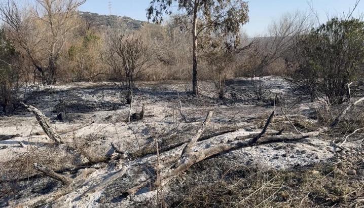 Kastabala Kuş Cenneti'nde çıkan yangın 14 saatte söndürüldü