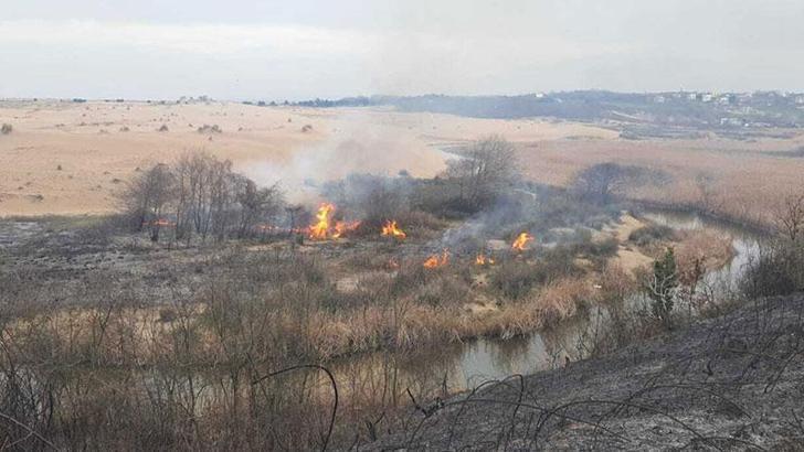 Sakarya’da başlayan yangın Kocaeli’ye sıçradı, 12 hektar ağaçlık alan yandı