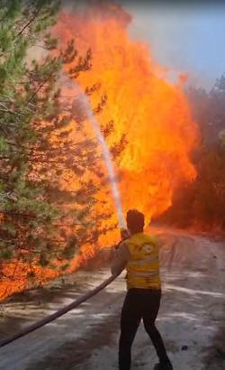 Aydın'da Nazilli’de orman yangını