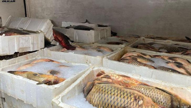 Kaçak balık avlayan 2 kişiye 75 bin lira ceza