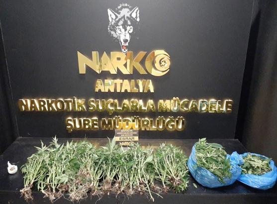 Antalya'da uyuşturucu operasyonu; 26 tutuklu
