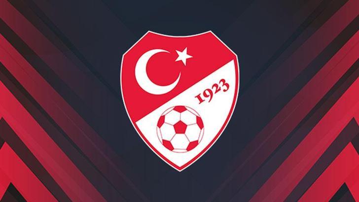 A Milli Takım, Macaristan maçına hazır